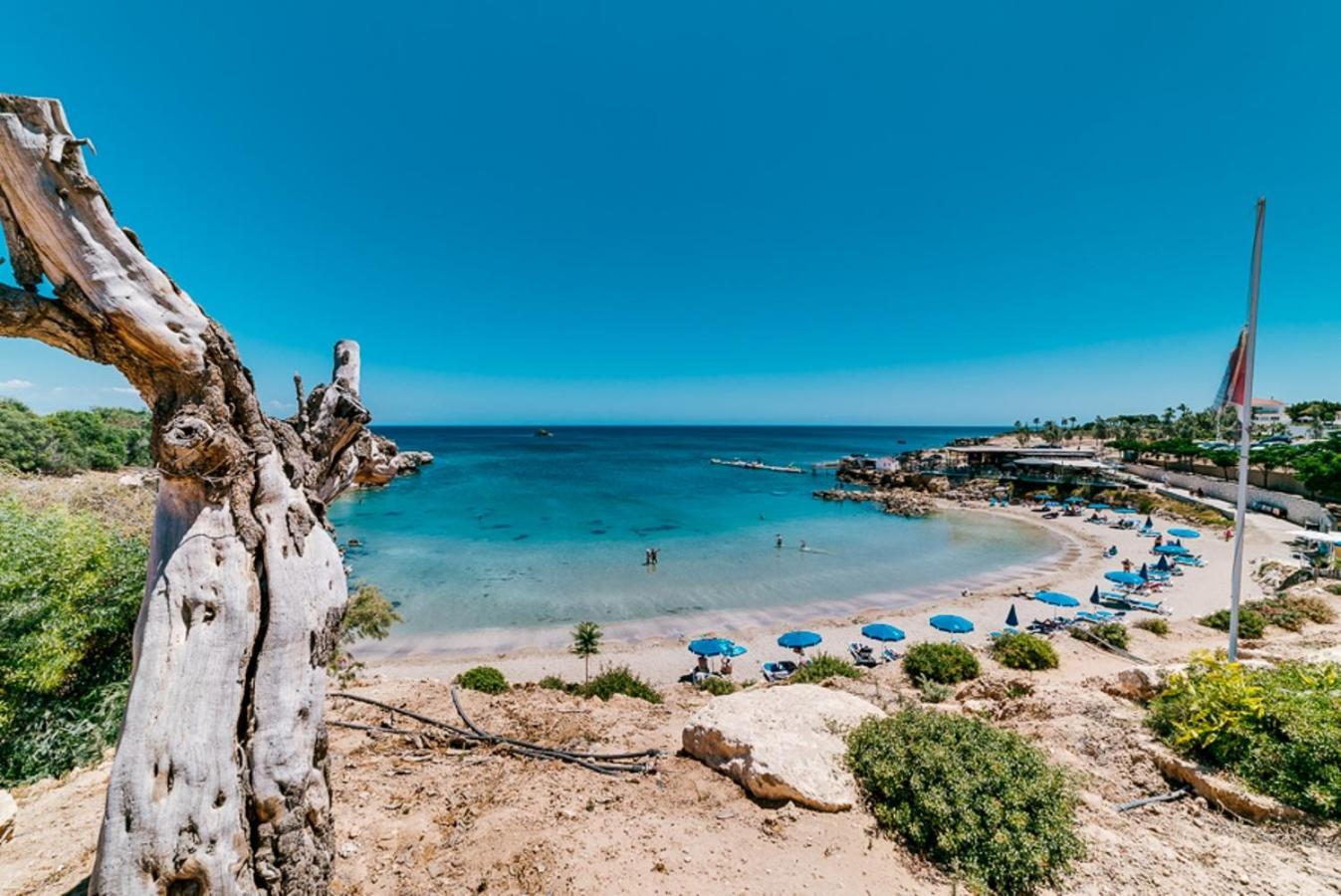 Eva Residences- Kapparis Paralimni Exteriér fotografie